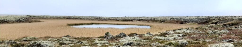 Blessað votlendið geymir einn þriðja kolefnis plánetunar okkar