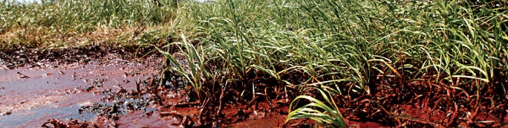 Er aðgerðaleysi í loftslagsmálum glæpur gegn mannkyni?