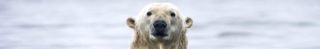 Ísland telur AMOC ógn við þjóðaröryggi vegna hugsanlegs hruns