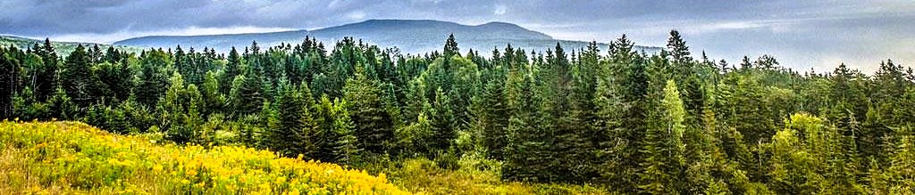 Ingrid Nilsen tók ákvörðun sem flestir vísindamenn myndu aldrei íhuga