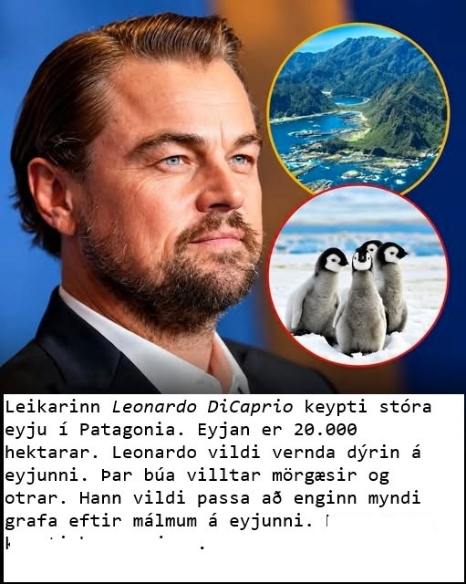 leonardo dicaprio